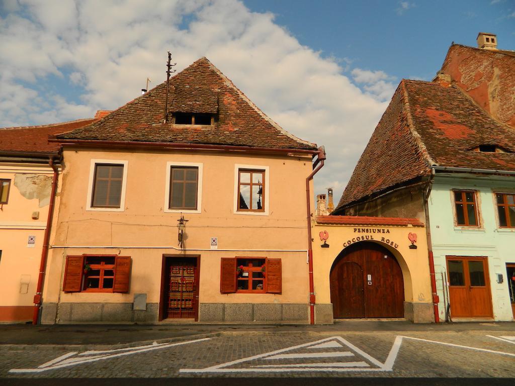 Pensiunea Cocosul Rosu Sybin Zewnętrze zdjęcie